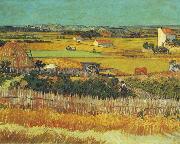 Vincent Van Gogh The Harvest, Arles oil painting on canvas